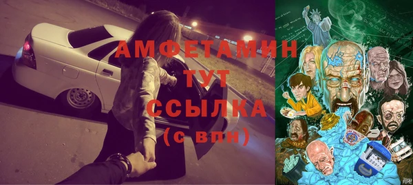 PSILOCYBIN Аркадак